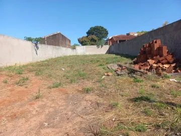 imagem 2 - Terreno amplo próximo da comendador! imagem 2 - Terreno amplo próximo da comendador!