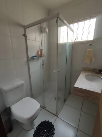 imagem 5 - Excelente residência - Vila Ipiranga imagem 5 - Excelente residência - Vila Ipiranga