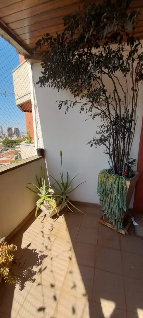 imagem 2 - COSTA DO SOL imagem 2 - COSTA DO SOL