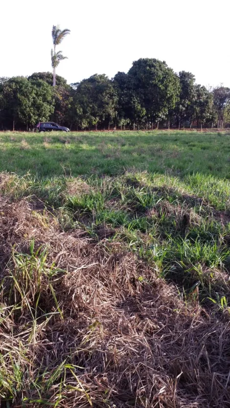imagem 3 - TERRENO RURAL EM JACUBA imagem 3 - TERRENO RURAL EM JACUBA