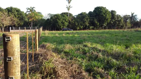 imagem 4 - TERRENO RURAL EM JACUBA imagem 4 - TERRENO RURAL EM JACUBA