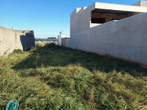 imagem 3 - Terreno - Padrão imagem 3 - Terreno - Padrão