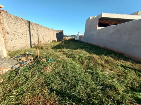 imagem 5 - Terreno - Padrão imagem 5 - Terreno - Padrão