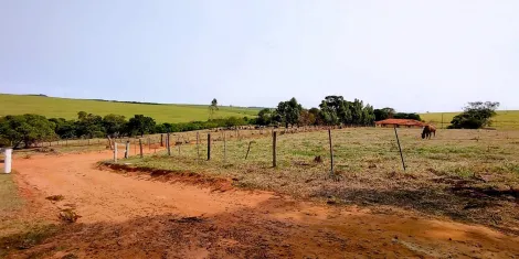 imagem 3 - Rural - ChácaraFazenda imagem 3 - Rural - ChácaraFazenda