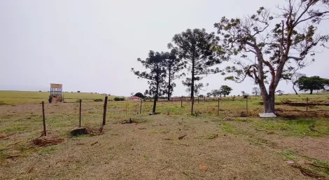 imagem 5 - Rural - ChácaraFazenda imagem 5 - Rural - ChácaraFazenda