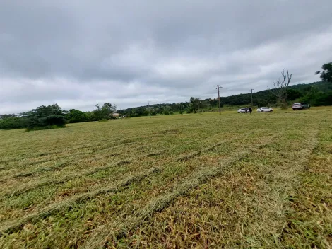 imagem 3 - Excelente lote no PALMAS DEL REY! imagem 3 - Excelente lote no PALMAS DEL REY!