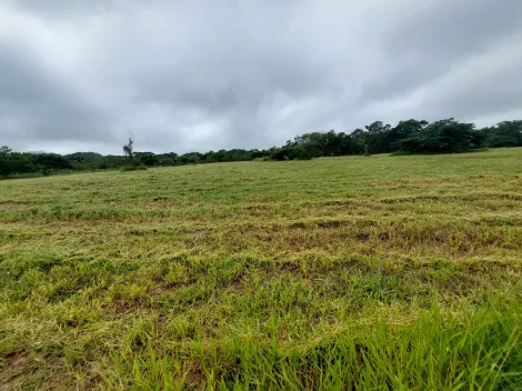 imagem 4 - Excelente lote no PALMAS DEL REY! imagem 4 - Excelente lote no PALMAS DEL REY!