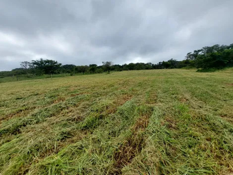 imagem 5 - Excelente lote no PALMAS DEL REY! imagem 5 - Excelente lote no PALMAS DEL REY!