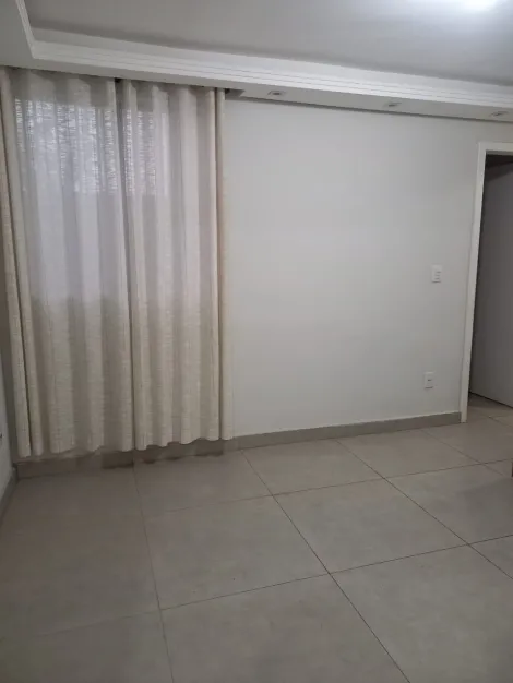 imagem 4 - Lindo apartamento térreo - Dante Alighieri imagem 4 - Lindo apartamento térreo - Dante Alighieri