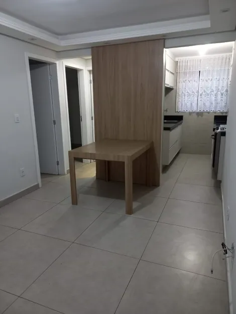 imagem 5 - Lindo apartamento térreo - Dante Alighieri imagem 5 - Lindo apartamento térreo - Dante Alighieri