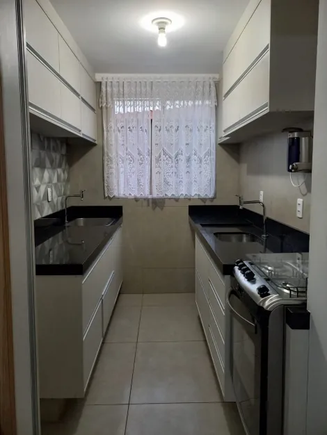 imagem 1 - Lindo apartamento térreo - Dante Alighieri imagem 1 - Lindo apartamento térreo - Dante Alighieri