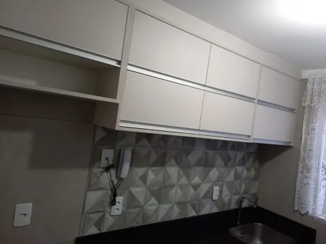 imagem 2 - Lindo apartamento térreo - Dante Alighieri imagem 2 - Lindo apartamento térreo - Dante Alighieri