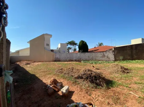 imagem 1 - TERRENO MURADO PRÓXIMO AO SUPERMERCADO BARRACÃO imagem 1 - TERRENO MURADO PRÓXIMO AO SUPERMERCADO BARRACÃO