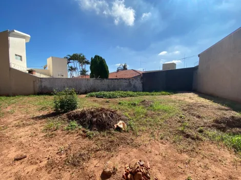 imagem 2 - TERRENO MURADO PRÓXIMO AO SUPERMERCADO BARRACÃO imagem 2 - TERRENO MURADO PRÓXIMO AO SUPERMERCADO BARRACÃO