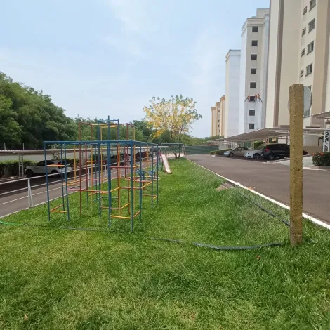 CAMPO BELLO