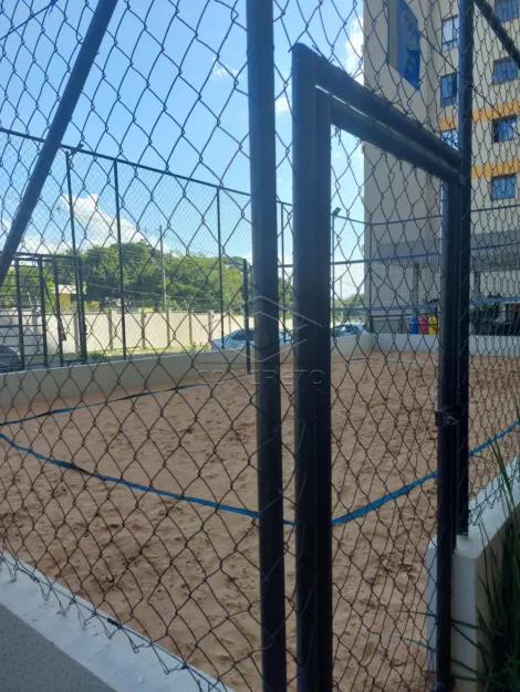 Excelente apartamento com 02 dormitórios - Reserva Colonial