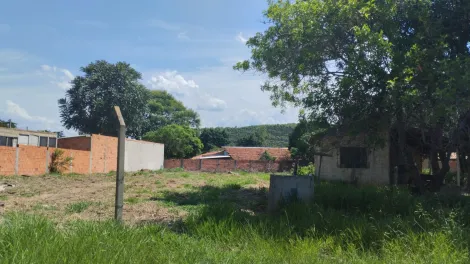 imagem 1 - Rural - ChácaraFazenda imagem 1 - Rural - ChácaraFazenda