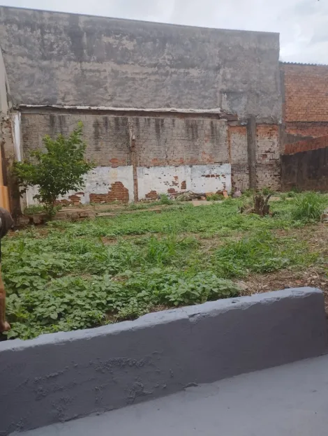 JARDIM VANIA MARIA