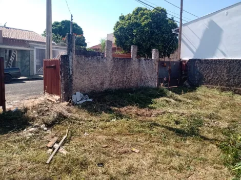 imagem 2 - Excelente terreno - Parque São Geraldo imagem 2 - Excelente terreno - Parque São Geraldo