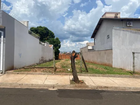 Alugar Terreno / Padrão em Bauru. apenas R$ 320.000,00