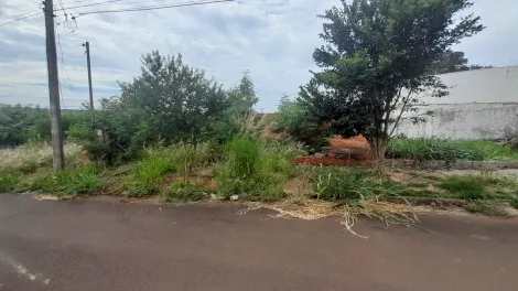 imagem 1 - Terreno - Área imagem 1 - Terreno - Área