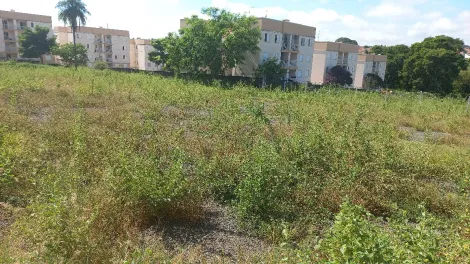 imagem 1 - JARDIM JUSSARA  -  IMÓVEL PARA INCORPORAÇÃO imagem 1 - JARDIM JUSSARA  -  IMÓVEL PARA INCORPORAÇÃO