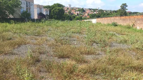 imagem 5 - JARDIM JUSSARA  -  IMÓVEL PARA INCORPORAÇÃO imagem 5 - JARDIM JUSSARA  -  IMÓVEL PARA INCORPORAÇÃO