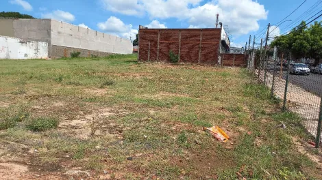 imagem 5 - TERRENO COMERCIAL - VILA FALCÃO imagem 5 - TERRENO COMERCIAL - VILA FALCÃO