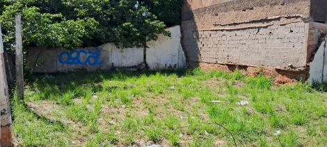 Alugar Terreno / Padrão em Bauru. apenas R$ 208.000,00