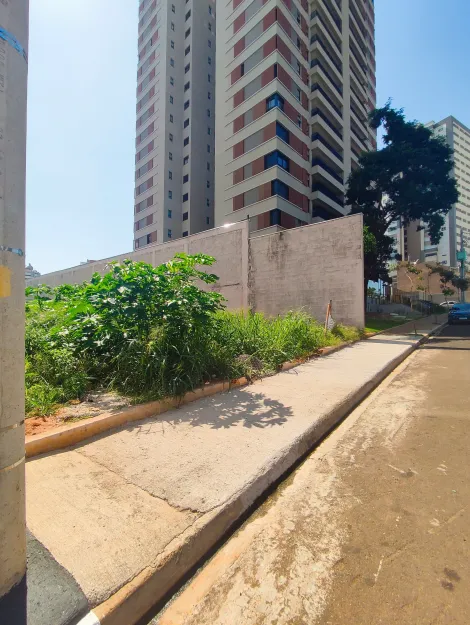 Bauru Vila Aviacao Area Locacao R$ 6.000,00  Area do terreno 675.00m2 