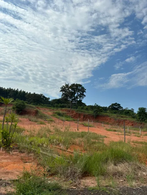 Terreno plano - Chácaras Jardim Ester