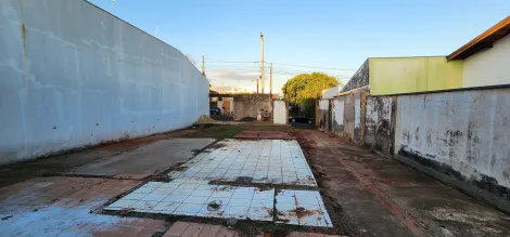 imagem 1 - Terreno + edícula no bairro SANTA LUZIA! imagem 1 - Terreno + edícula no bairro SANTA LUZIA!
