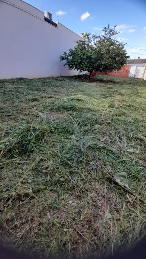 imagem 1 - Lote bem localizado!!! imagem 1 - Lote bem localizado!!!