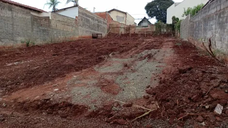 imagem 1 - Terreno - Padrão imagem 1 - Terreno - Padrão