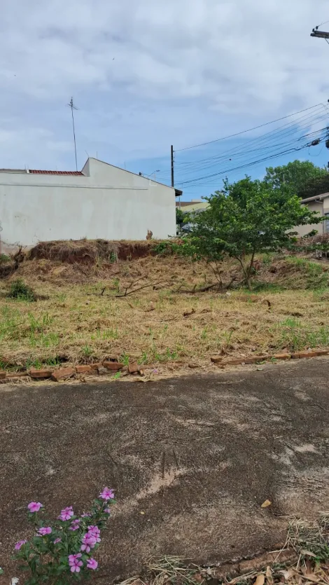 imagem 2 - Terreno - Área imagem 2 - Terreno - Área