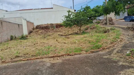 imagem 1 - Terreno - Área imagem 1 - Terreno - Área