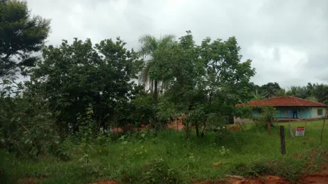 imagem 2 - Excelente lote - Águas Virtuosas imagem 2 - Excelente lote - Águas Virtuosas