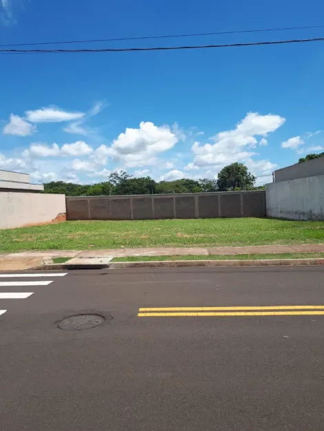 imagem 1 - 02 lotes - Cidade Jardim imagem 1 - 02 lotes - Cidade Jardim