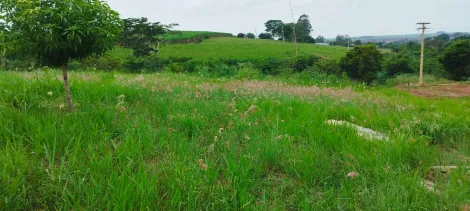 imagem 5 - Terreno - Padrão imagem 5 - Terreno - Padrão