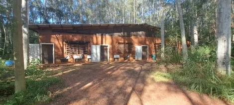 imagem 1 - Área rural com 6 alqueires - Estância - Cachoeirinha imagem 1 - Área rural com 6 alqueires - Estância - Cachoeirinha