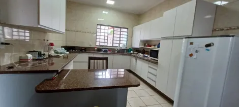 Linda casa térrea com 03 dormitórios - Vila Ipiranga