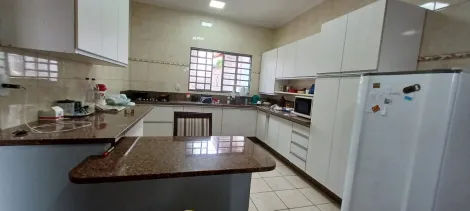 imagem 5 - Linda casa térrea com 03 dormitórios - Vila Ipiranga imagem 5 - Linda casa térrea com 03 dormitórios - Vila Ipiranga