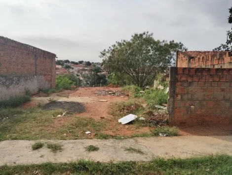 Alugar Terreno / Padrão em Bauru. apenas R$ 82.000,00