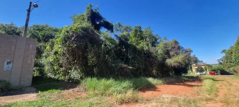 Terreno com 1.107,85m² - Vale do Igapó