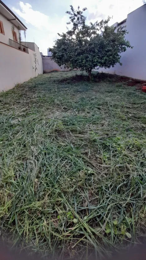 imagem 1 - Terreno - Padrão imagem 1 - Terreno - Padrão