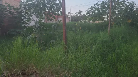 imagem 1 - Terreno para investidores - Jardim Marília imagem 1 - Terreno para investidores - Jardim Marília