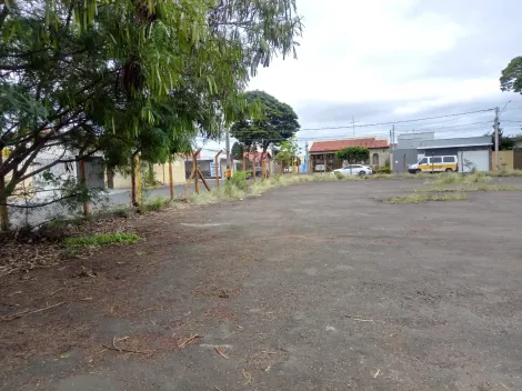 imagem 2 - Terreno Comercial de frente à Avenida Cruzeiro do Sul imagem 2 - Terreno Comercial de frente à Avenida Cruzeiro do Sul