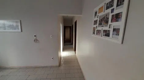 imagem 4 - Casa - Residência imagem 4 - Casa - Residência