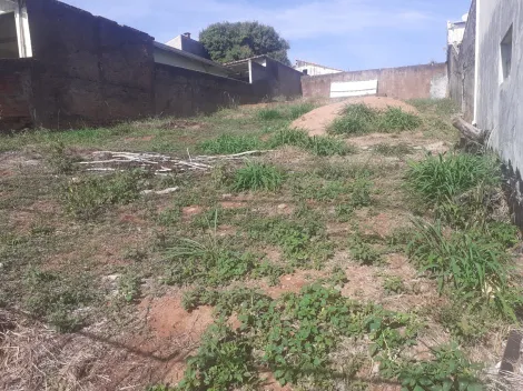 imagem 3 - Terreno Terreno a Venda - Vila São Lucio - Botucatu imagem 3 - Terreno Terreno a Venda - Vila São Lucio - Botucatu