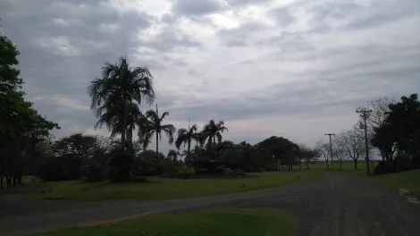 imagem 5 - Lote plano - Palmas Del Rey imagem 5 - Lote plano - Palmas Del Rey
